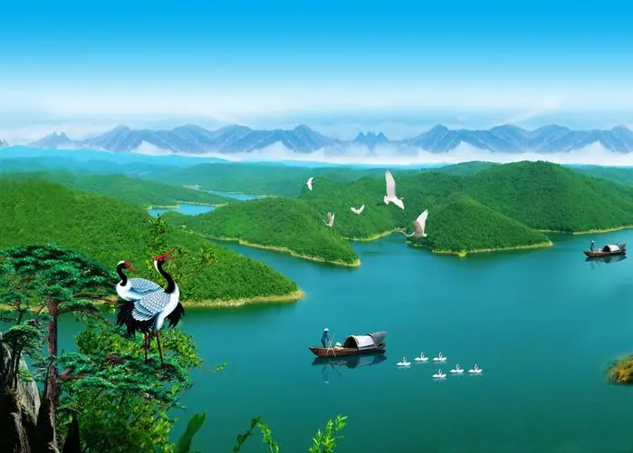 全自动高性能高端